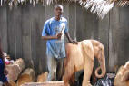 La côte d'ivoire possède une production traditionnelle de BRONZE AFRICAIN.